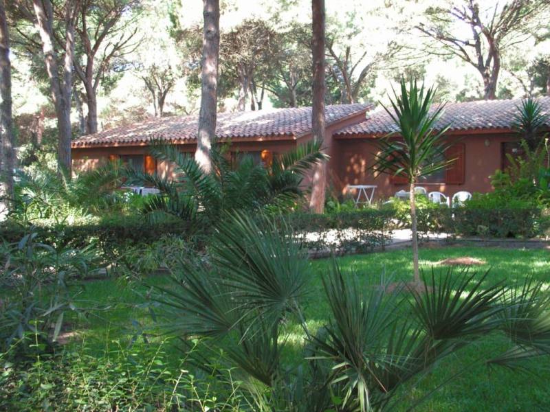 excotic forest in the resort